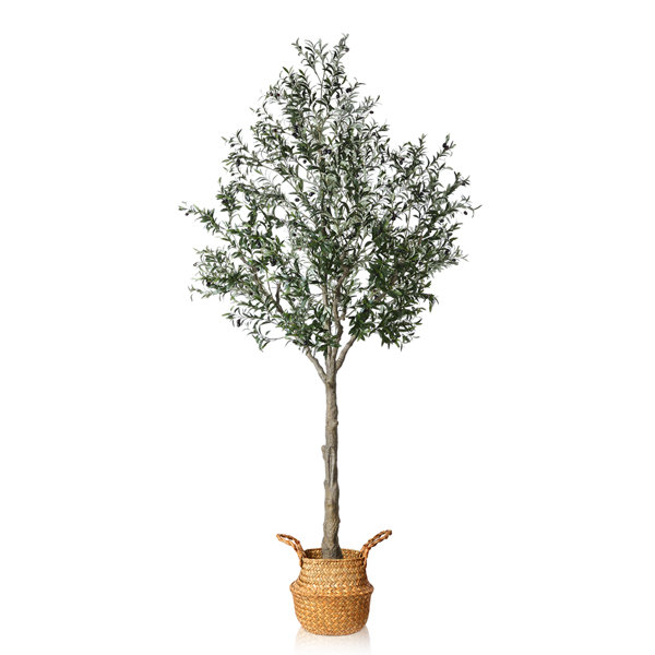 Primrue Adcock Faux Olive Tree Plant In Rattan Basket Reviews Wayfair